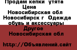 Продам кепки “утята“ › Цена ­ 100 - Новосибирская обл., Новосибирск г. Одежда, обувь и аксессуары » Другое   . Новосибирская обл.